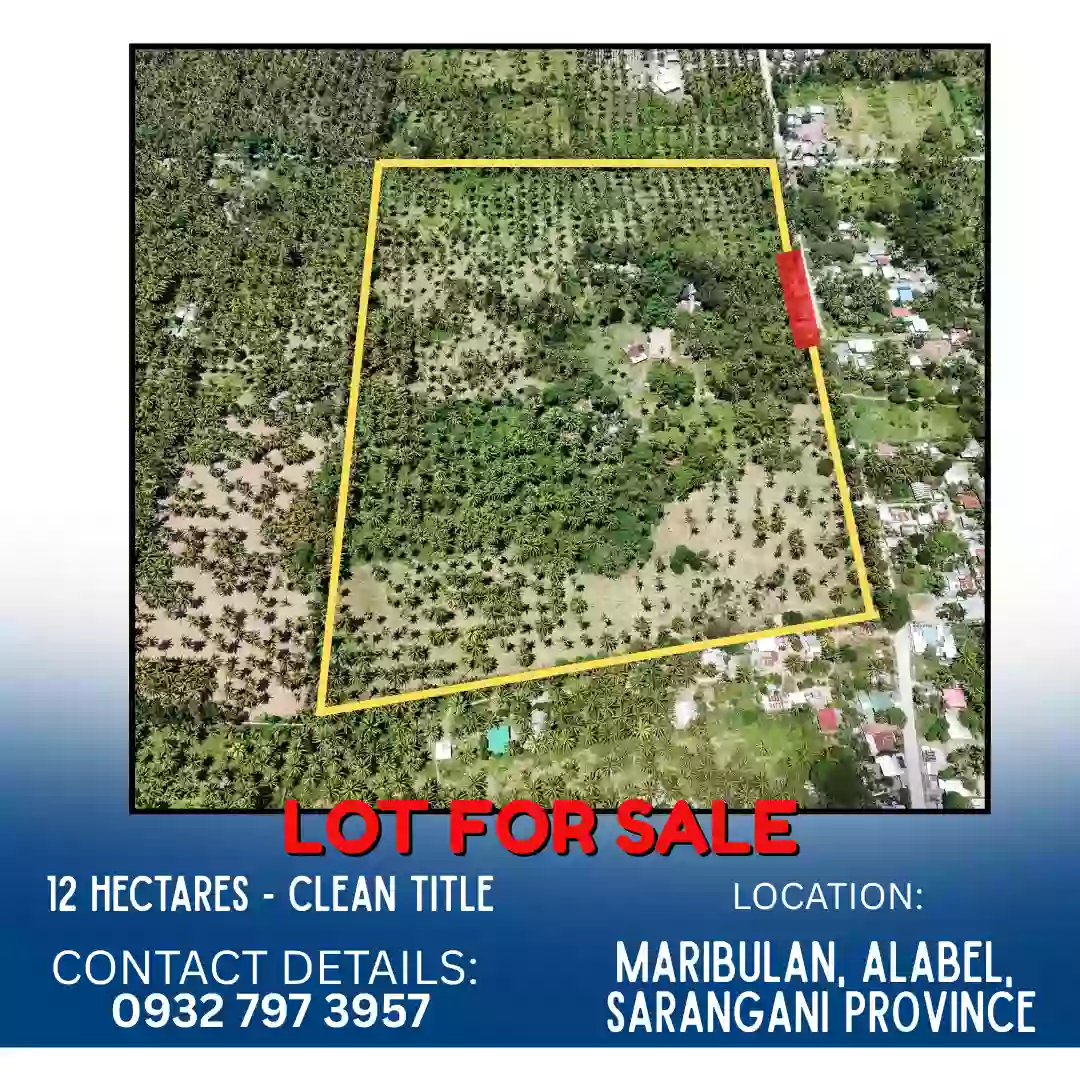 ALABEL LOT FOR SALE (12 HECTARES)