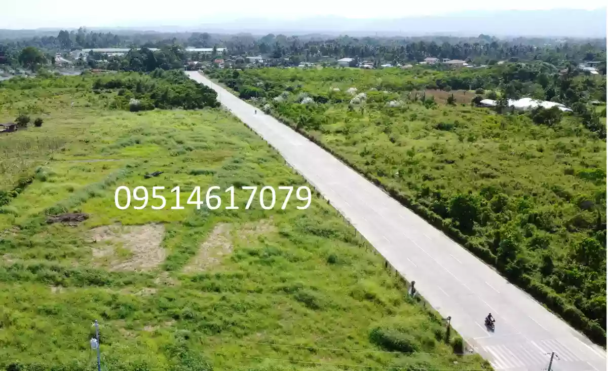 Prime 1,000 sqm Lots in Thriving Tagum City: A Golden Investment Opportunity — Commercial Lot in Davao del Norte, Philippines — Photo 4