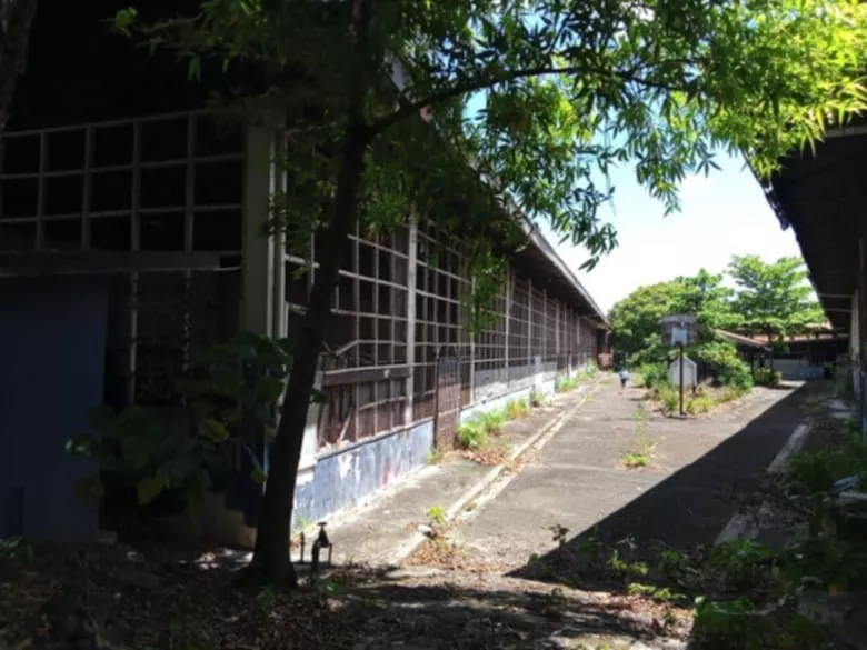 Commercial Warehouses For Sale – Cabancalan, Mandaue City — Warehouse in M. L. Quezon Avenue, Mandaue City, Cebu — Photo 3