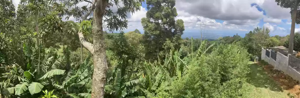 LOT FOR SALE IN SIRAWAN TORIL — Residential Lot in Toril, Davao City, Davao del Sur — Photo 7