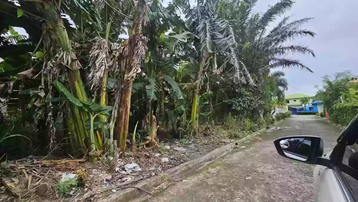 SACRIFICE RESIDENTIAL LOT FOR SALE AT CARMELA VILLAGE EXECUTIVE!