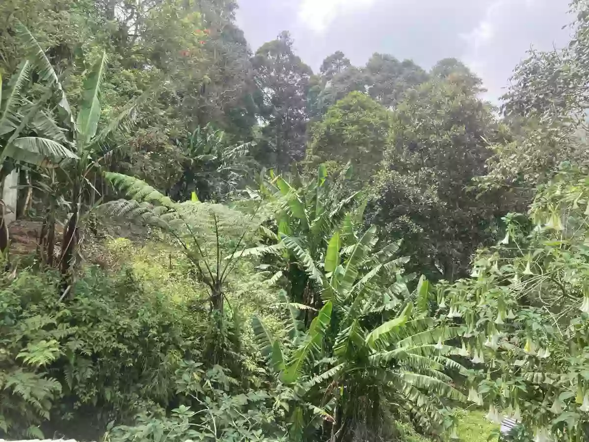 LOT FOR SALE IN SIRAWAN TORIL