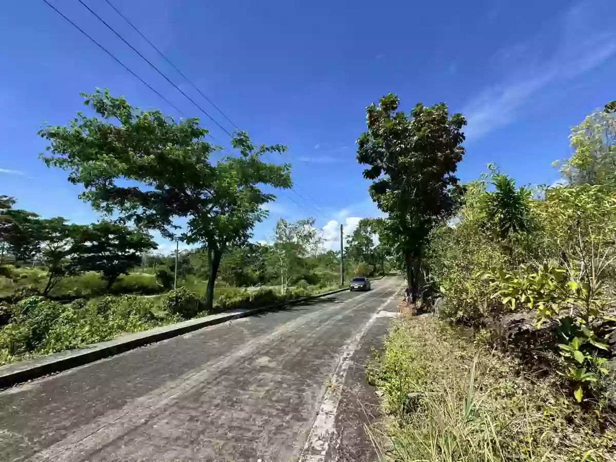 LOT FOR SALE IN SUMMERHILS, COMPOSTELA — Residential Lot in Compostela, Cebu, Philippines — Photo 3