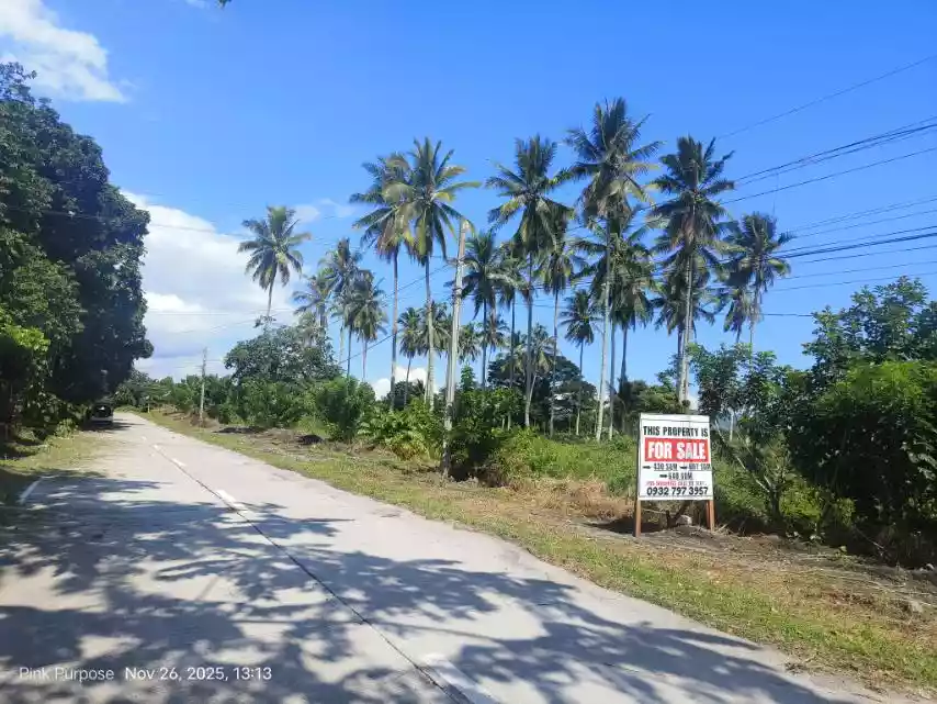 LOT FOR SALE located in Cannery Site, Polomolok!! — Residential Lot in Barangay, Polomolok, South Cotabato — Photo 3