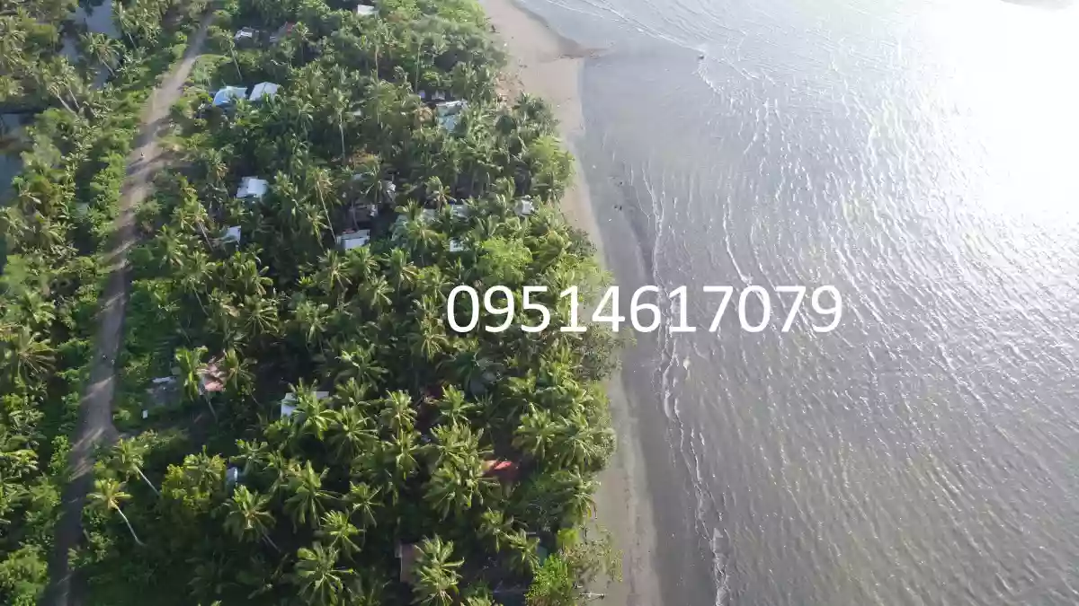 905 sqm Beachline Property in Busaon, Tagum City: Your Dream Beachfront Awaits — Beach Lot in Tagum, Davao del Norte, Philippines — Photo 5