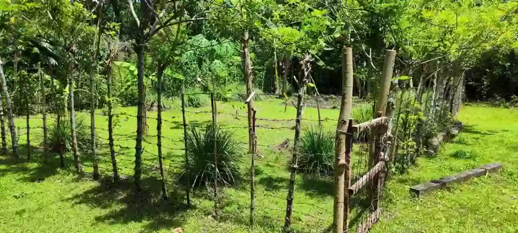 LOT FOR SALE 10mins TO BEACH — Residential Lot in Babak, Samal, Davao del Norte — Photo 2