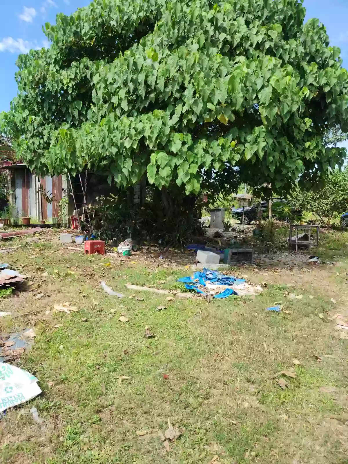 Residential/Commercial Lot for Sale — Residential Lot in Liloan, Cebu, Philippines — Photo 3