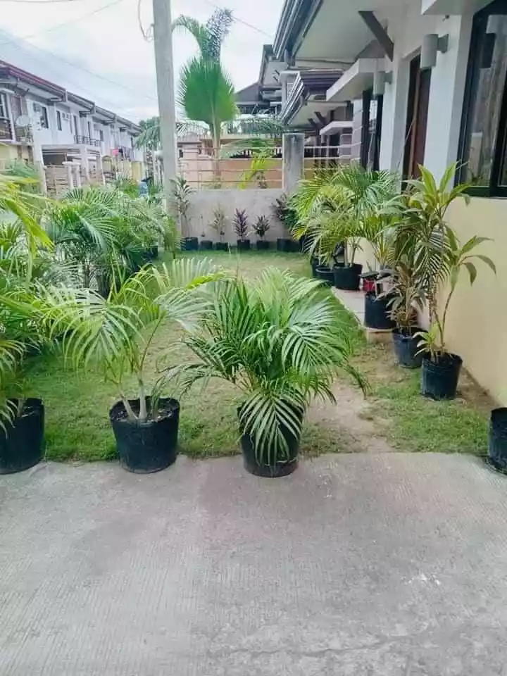 SINGLE STOREY 2 BEDROOM HOUSE AND LOT FOR SALE — House and Lot in Tungkop Road, Minglanilla, Cebu — Photo 5