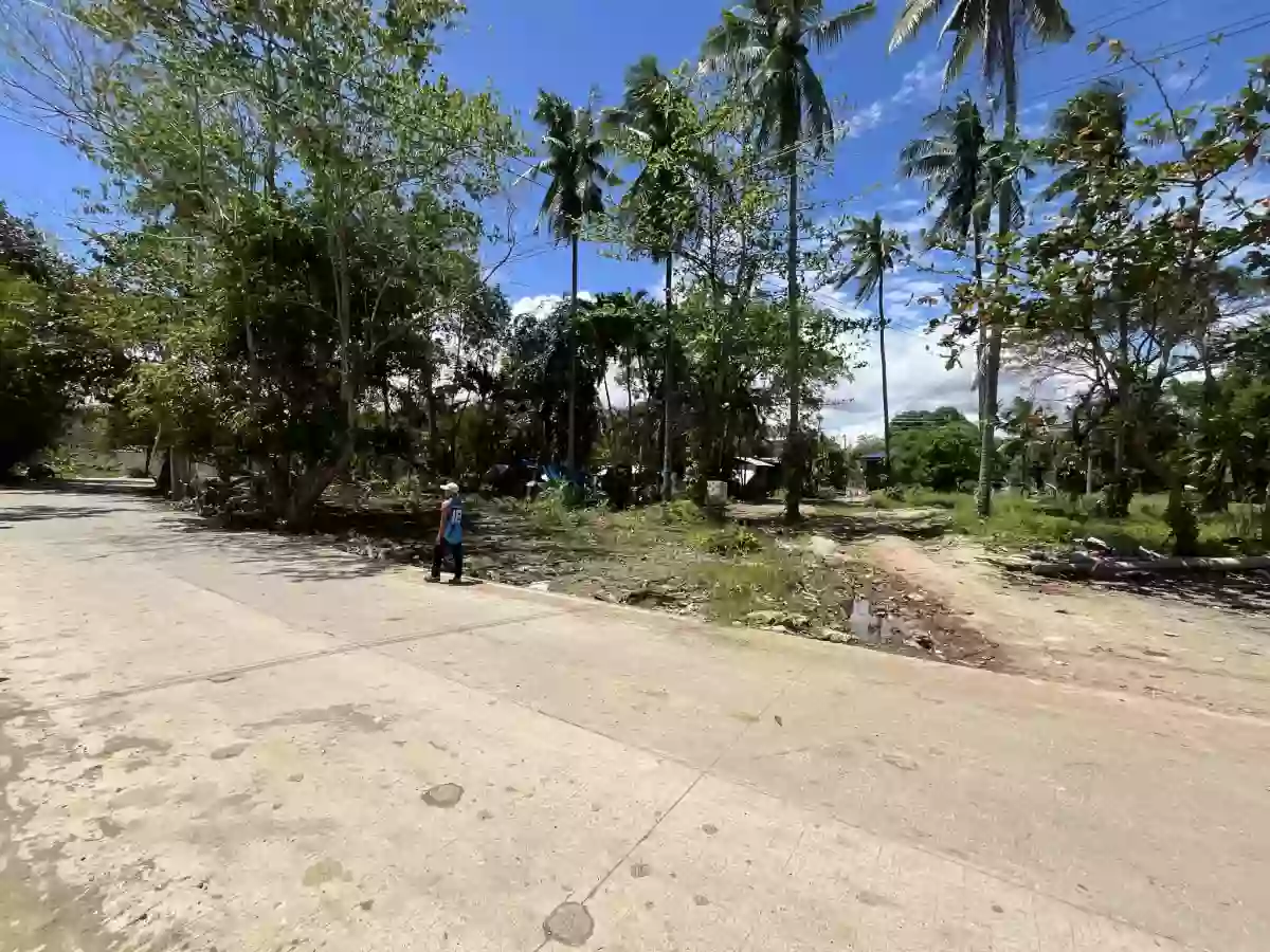 4,434 sqm AGRICULTURAL LOT FOR SALE IN COTCOT, LILOAN [TITLED]