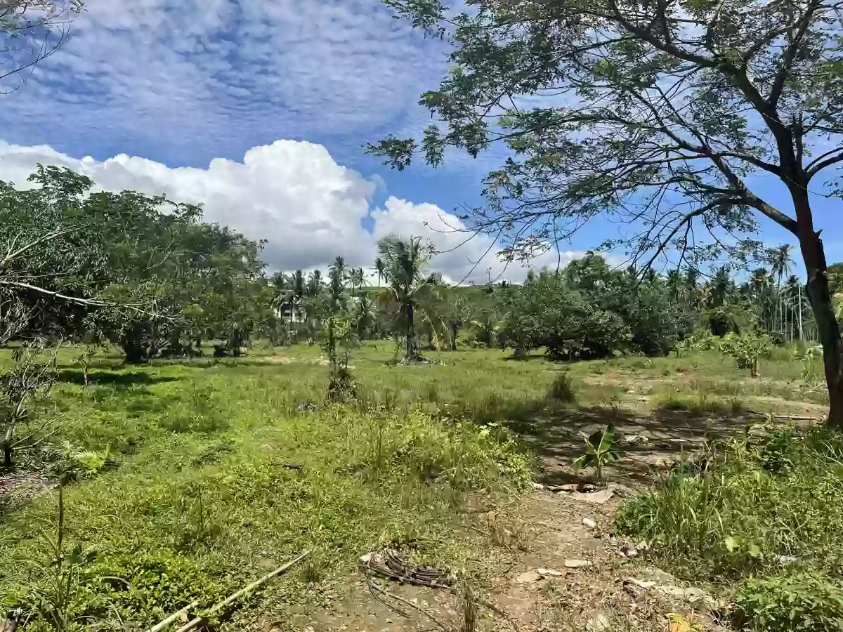 8,875 sqm AGRICULTURAL Lot for sale in COTCOT, LILOAN [TITLED] — Agricultural Lot in Liloan, Cebu, Philippines — Photo 6
