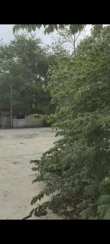 Residential Lot in a Subdivision — Residential Lot in General Santos City, South Cotabato, Philippines — Photo 5