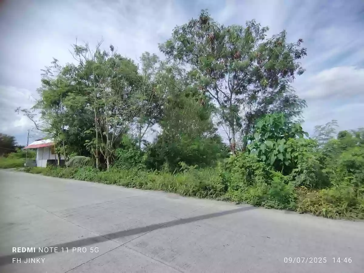 Lot for Sale located at Barangay Mabuhay, Gensan... — Residential Lot in General Santos City (Dadiangas), South Cotabato, Philippines — Photo 2