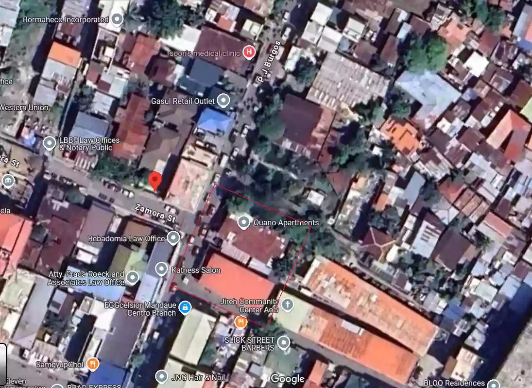 Residential or Commercial Lot for Sale in Mandaue City — Residential Lot in Mandaue City, Cebu, Philippines — Photo 6