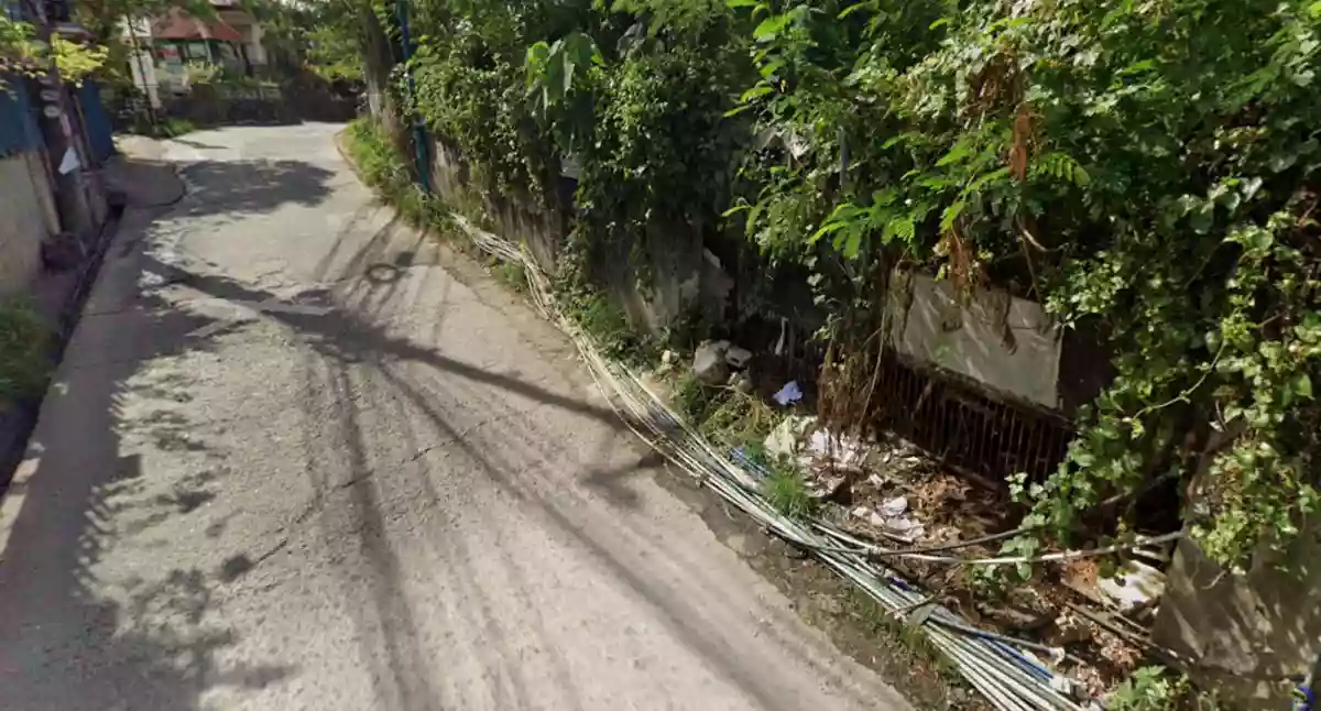 2000 SQM Rush Commercial Lot for sale in Barangay Cansaga Consolacion Cebu — Commercial Lot in Consolacion, Cebu, Philippines — Photo 4