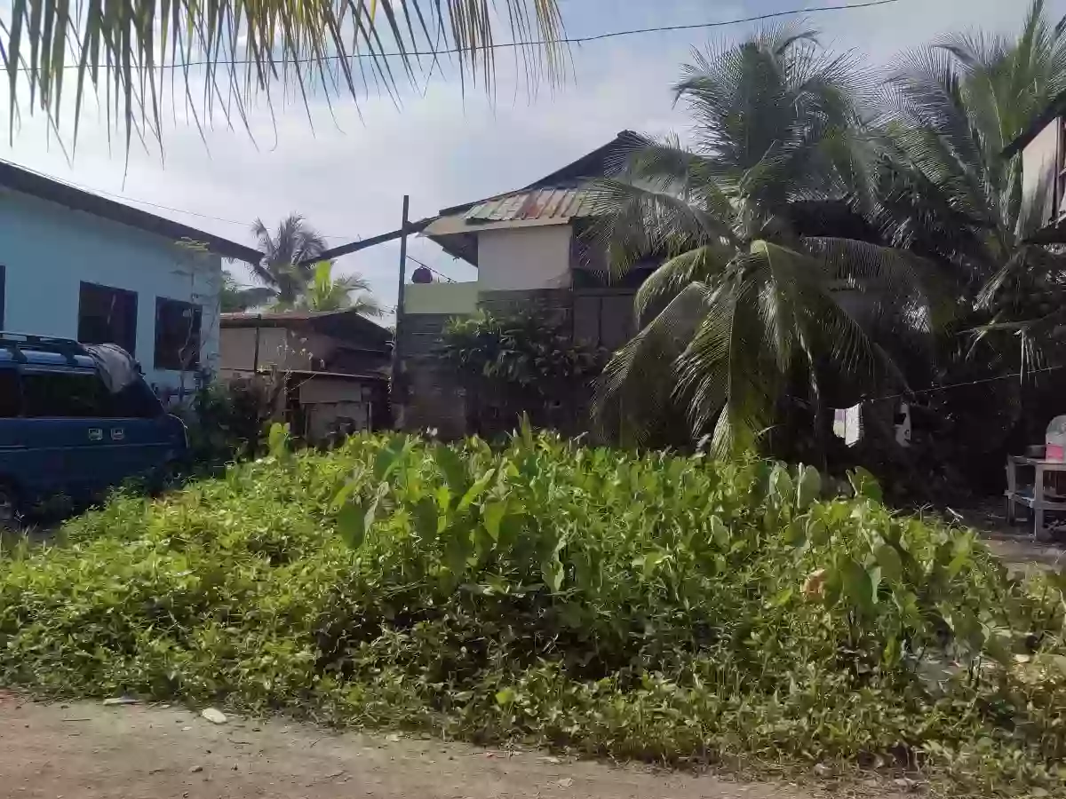 For Sale Lot Only in Washington Village Talomo