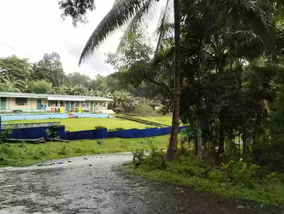 LOT FOR SALE – Tubod, Bacong, Negros Oriental@Php 500 per sq. — Agricultural Lot in Bacong, Negros Oriental, Philippines — Photo 2