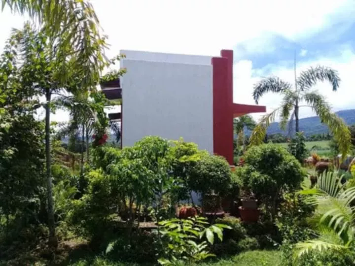 Valle Rosa Garden — Residential Lot in Bago City, Negros Occidental, Philippines — Photo 7