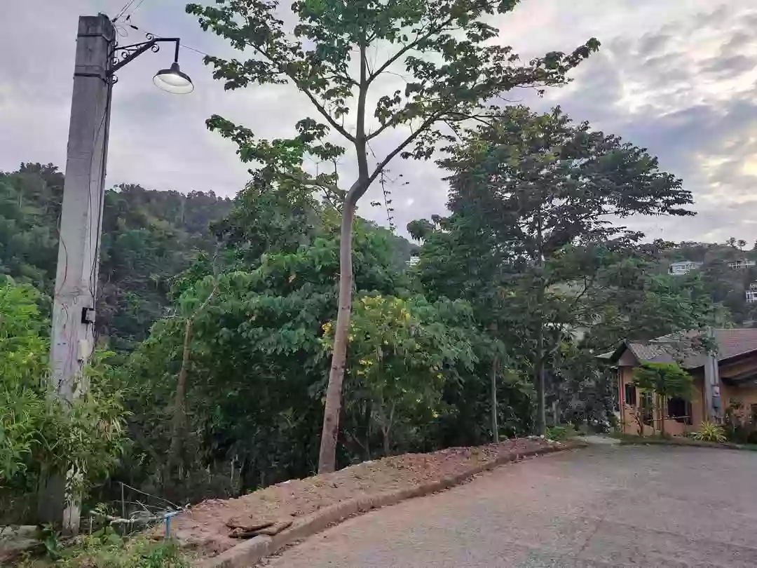 Overlooking Mountain City View Lot in Busay, Cebu City — Residential Lot in Cebu Transcentral Highway, Cebu City, Cebu — Photo 6