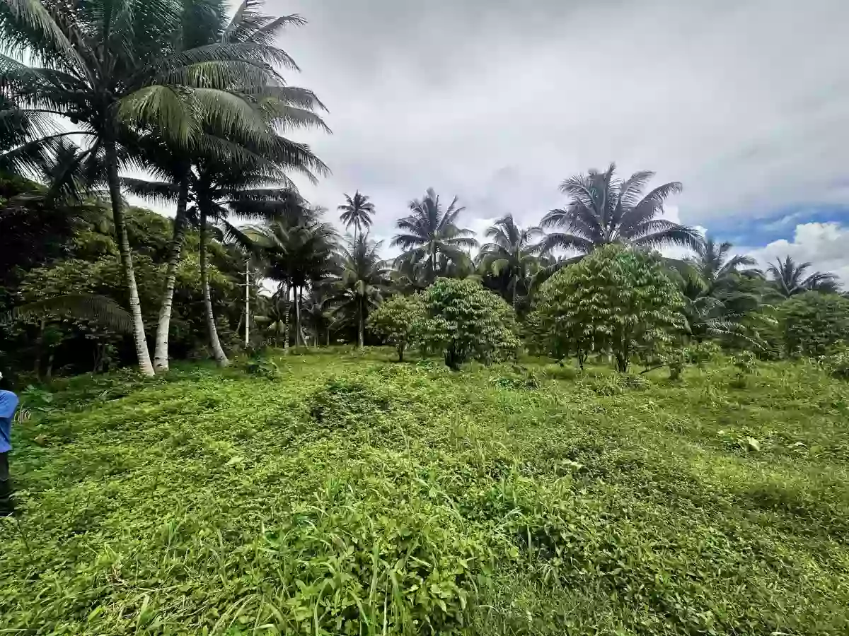 ALONG NATIONAL HIGHWAY — Commercial Lot in Tupi, South Cotabato, Philippines — Photo 5