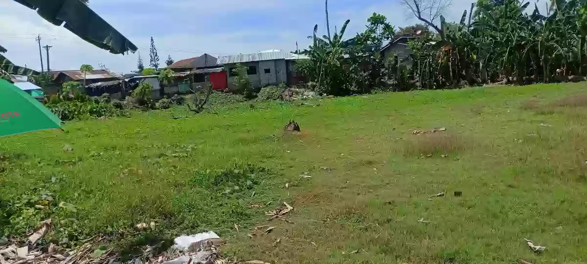 Rush For Sale Lot Only In Pinamungahan Cebu Along the Road — Residential Lot in Cebu, Philippines — Photo 5