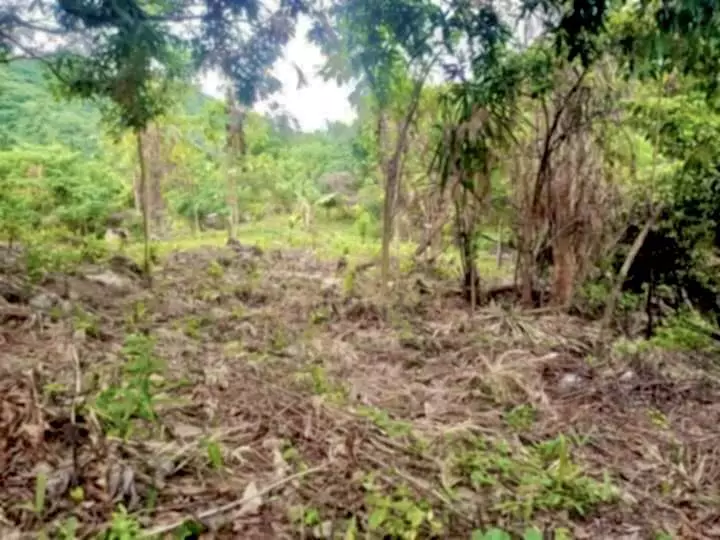 FUTURE SANCTUARY IN PULANGBATO CEBU CITY — Agricultural Lot in Cebu City, Cebu, Philippines — Photo 6