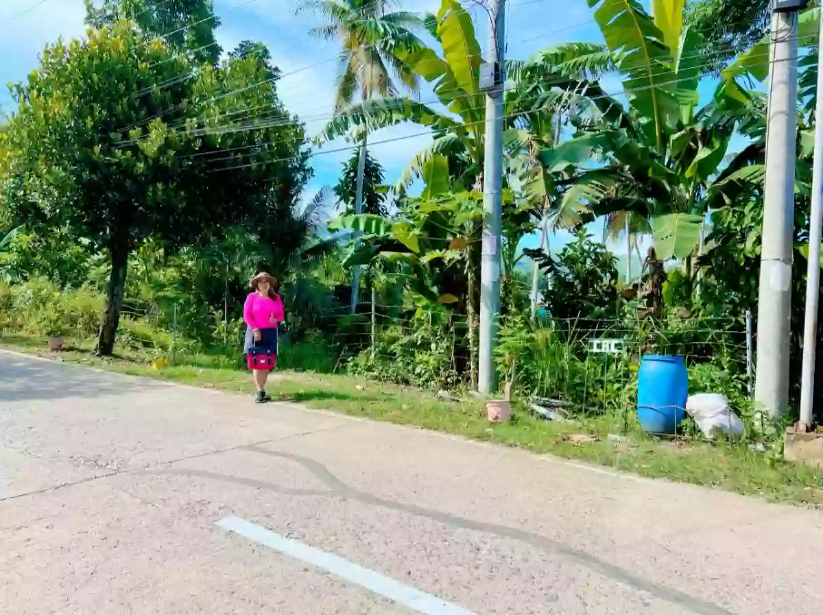 Lot for sale in Campangga Barili Cebu — Agricultural Lot in Barili, Cebu, Philippines — Photo 4