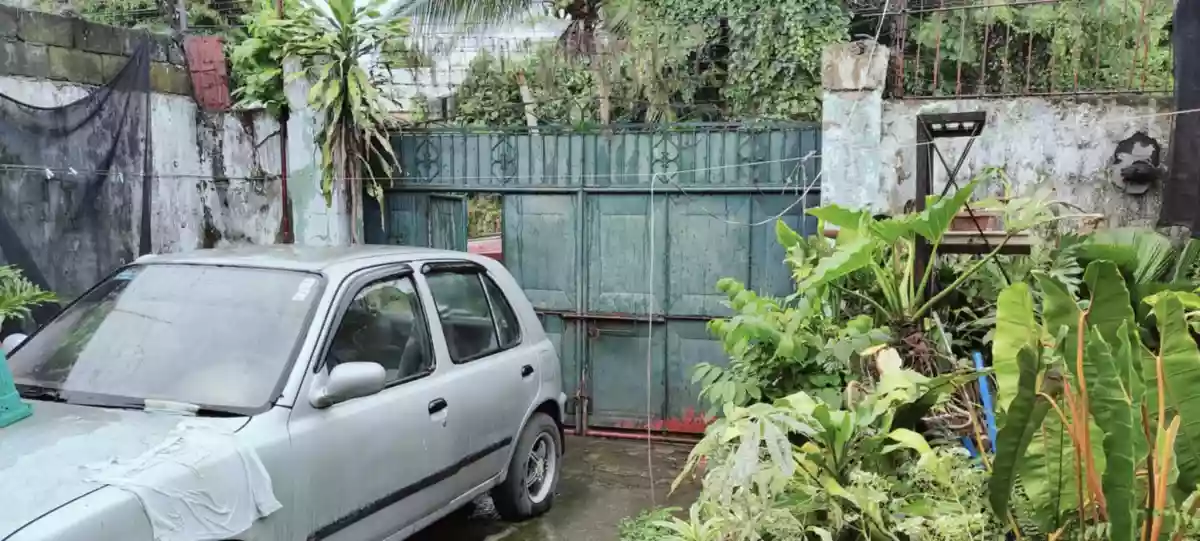 Doña Juliana Heights — House and Lot in Bacolod, Negros Occidental, Philippines — Photo 2