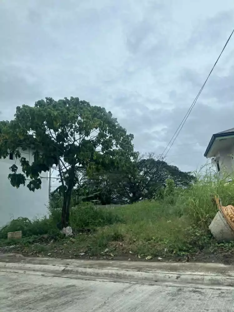 Westwood Lot in Iloilo City — Residential Lot in Larch Street, Mandurriao, Iloilo City — Photo 2