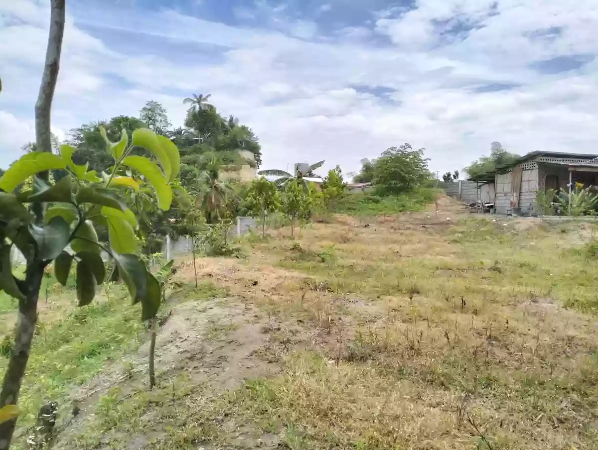 1 hectare Land for rent — Agricultural Lot in National Highway, Koronadal City, South Cotabato — Photo 2