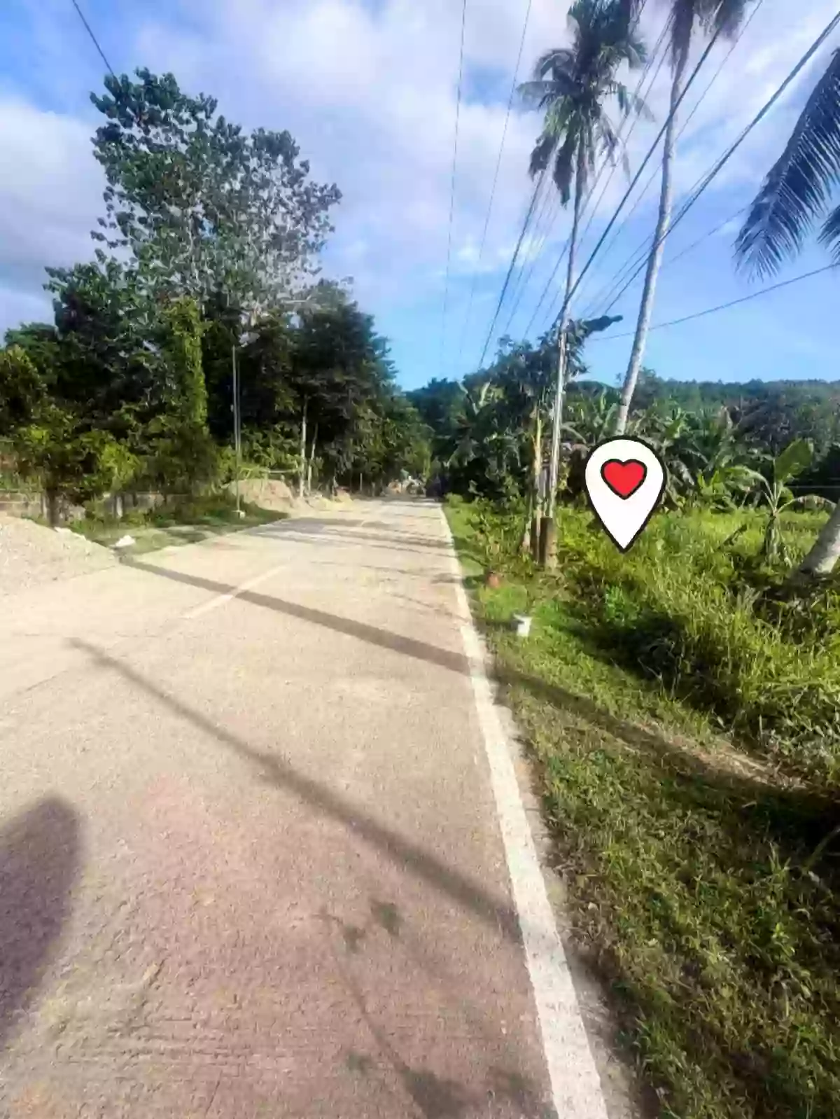 Titled Lot in Barili, Cebu — Industrial Lot in Barili, Cebu, Philippines — Photo 2