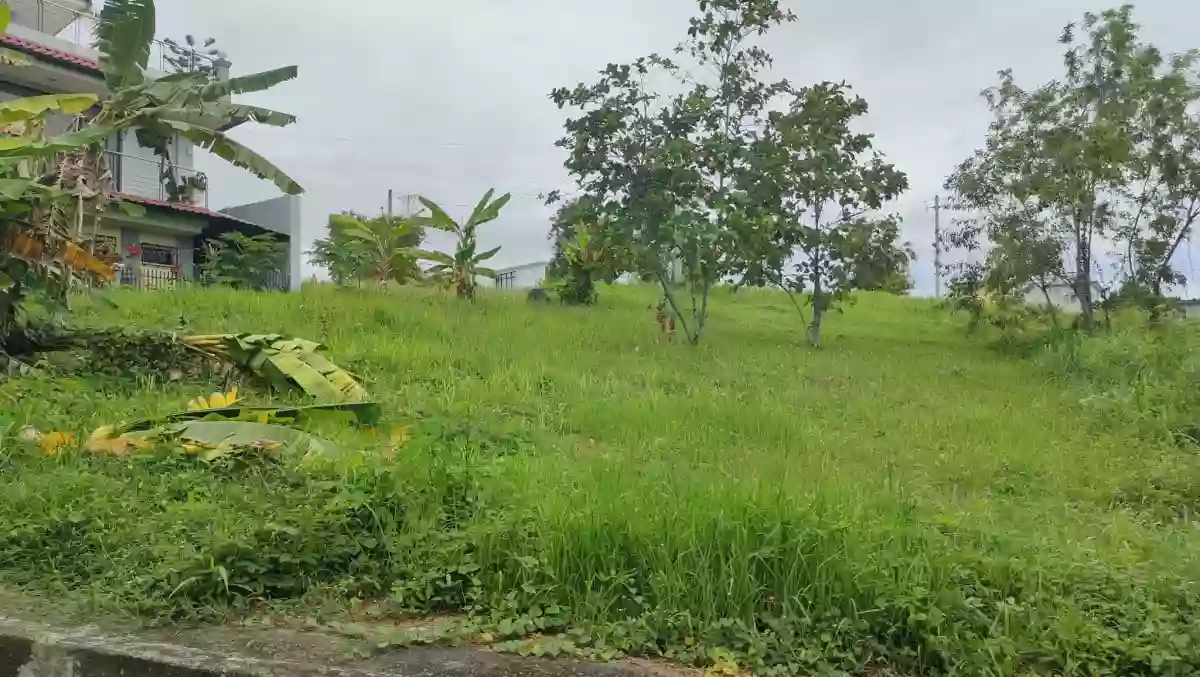 LOT FOR SALE in Vista Grande Talisay City, Cebu! — Residential Lot in Talisay City, Cebu, Philippines — Photo 3