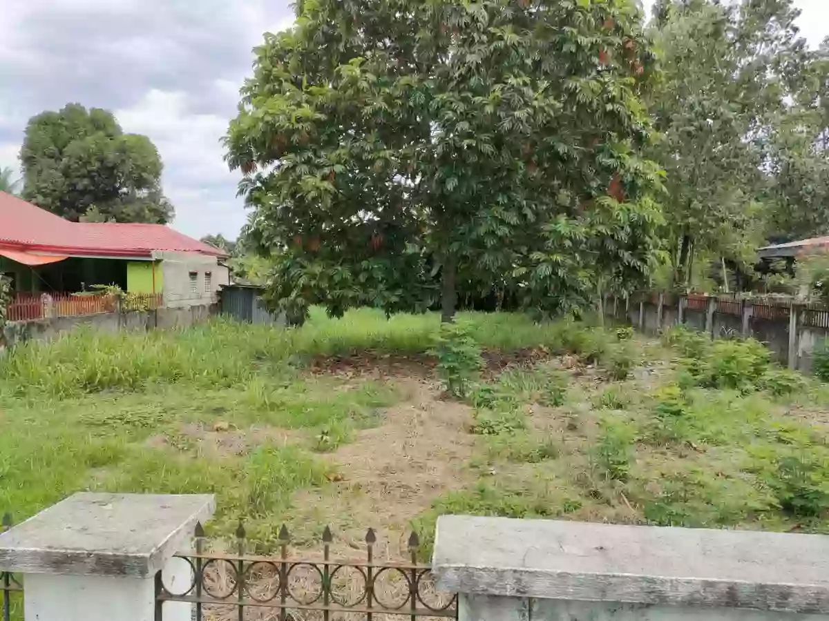 Lot for Sale in Batinguel, Dumaguete City, Negros Oriental — Residential Lot in Dumaguete, Negros Oriental, Philippines — Photo 6