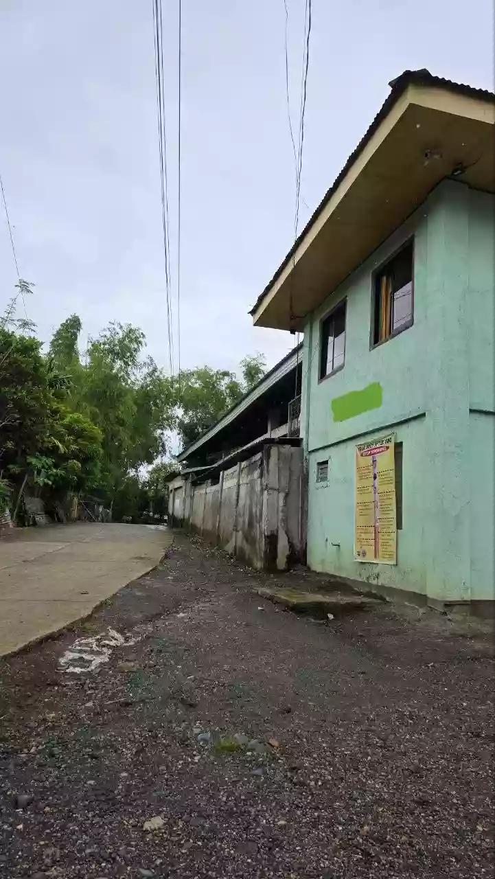 Income Generating Sugarcane Farm — Agricultural Lot in Dingle, Iloilo, Philippines — Photo 3