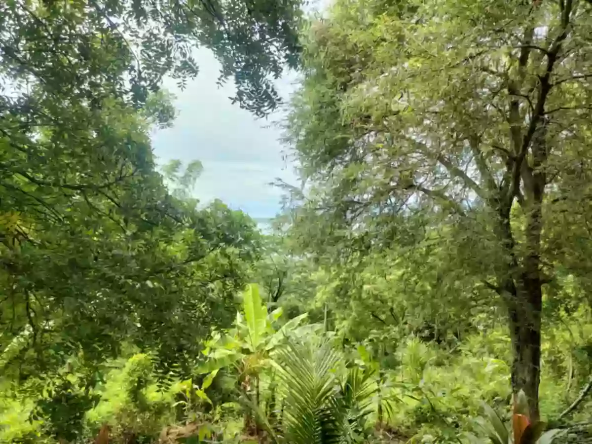 Overlooking Lot For Sale in Bahia,Dewey Island,Capiñahan, Bais City