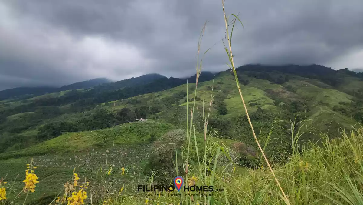 Open photo 15 of 18 — 2.2 Hectares Farm Lot with 360° View in Basak, Lantapan, Bukidnon