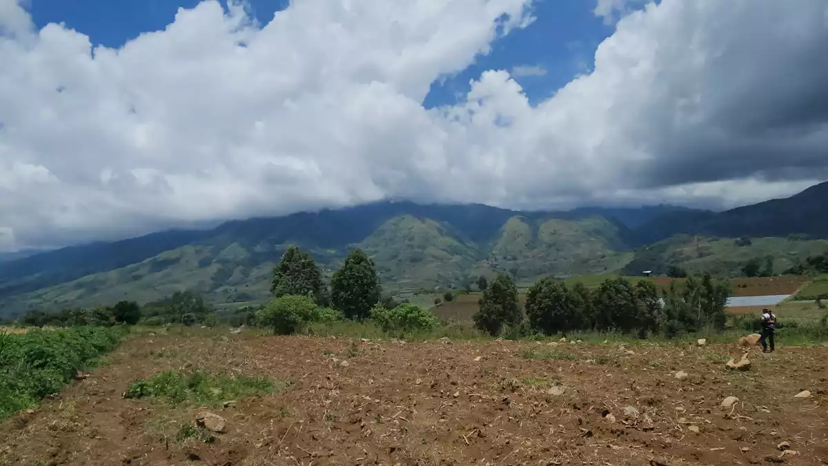 1.6 hectares Farm Lot for Sale in Basak, Lantapan, Bukidnon — Agricultural Lot in Lantapan, Bukidnon, Philippines — Photo 3