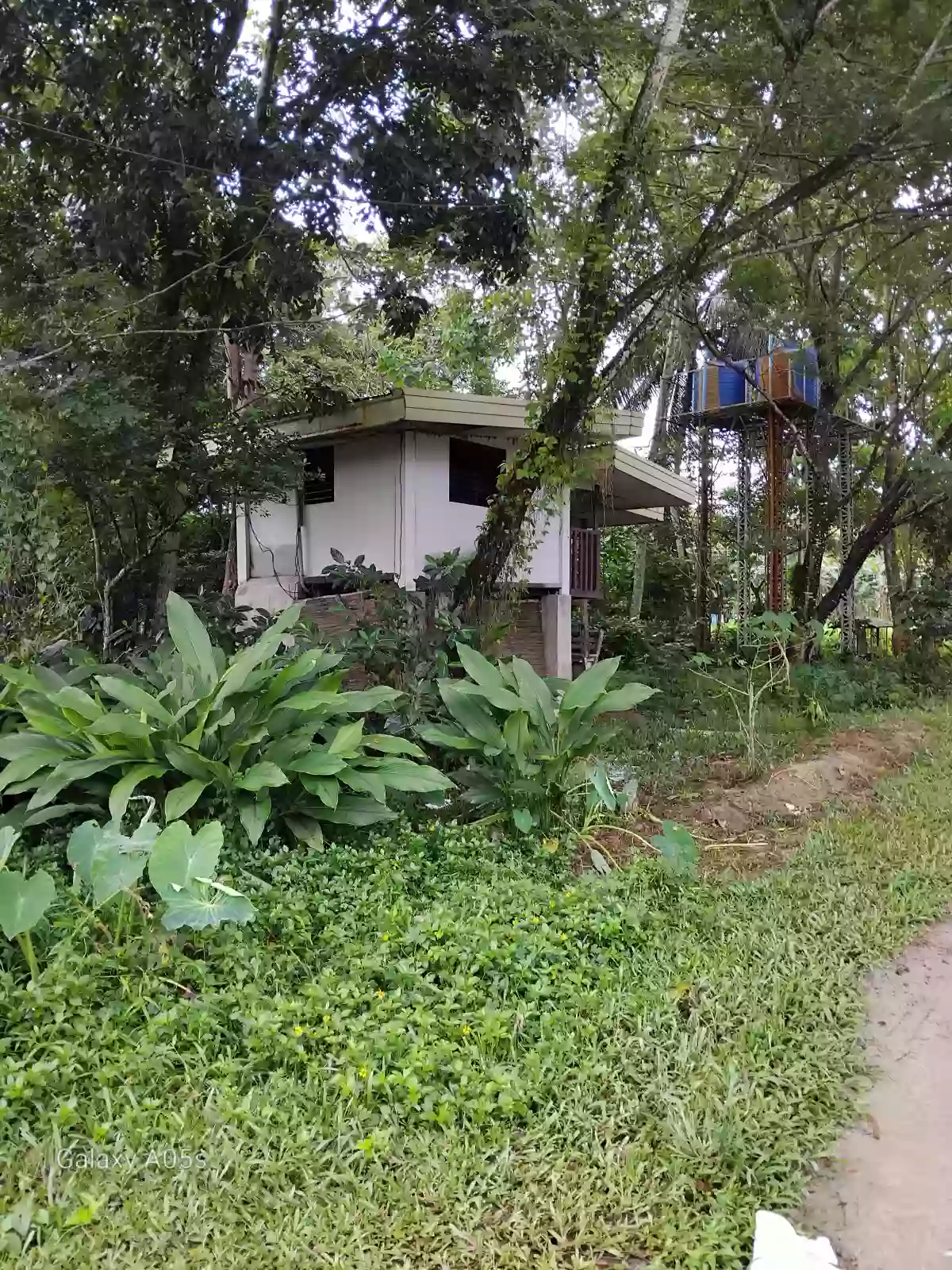 Beach Front Property For Sale (Hinoba-an) — Beach Lot in Negros Occidental, Philippines — Photo 7