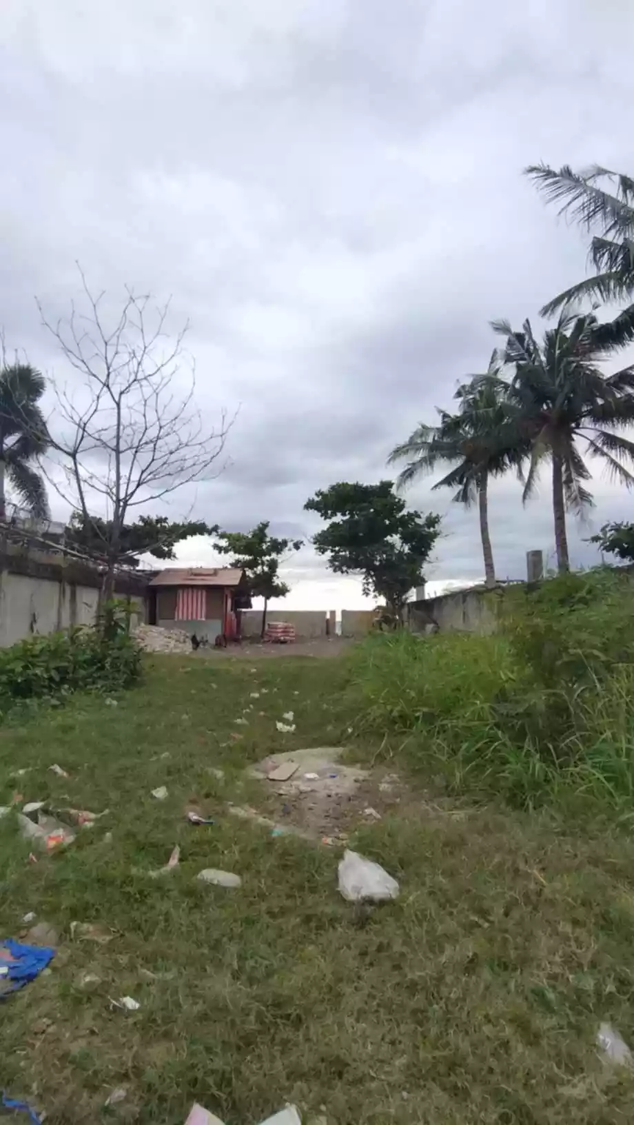 BEACHFRONT LOT FOR SALE IN TALISAY CITY, CEBU! — Beach Lot in Talisay, Cebu, Philippines — Photo 2