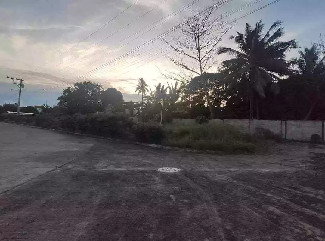 0009356 — Residential Lot in Talomo, Davao City, Davao del Sur — Photo 2
