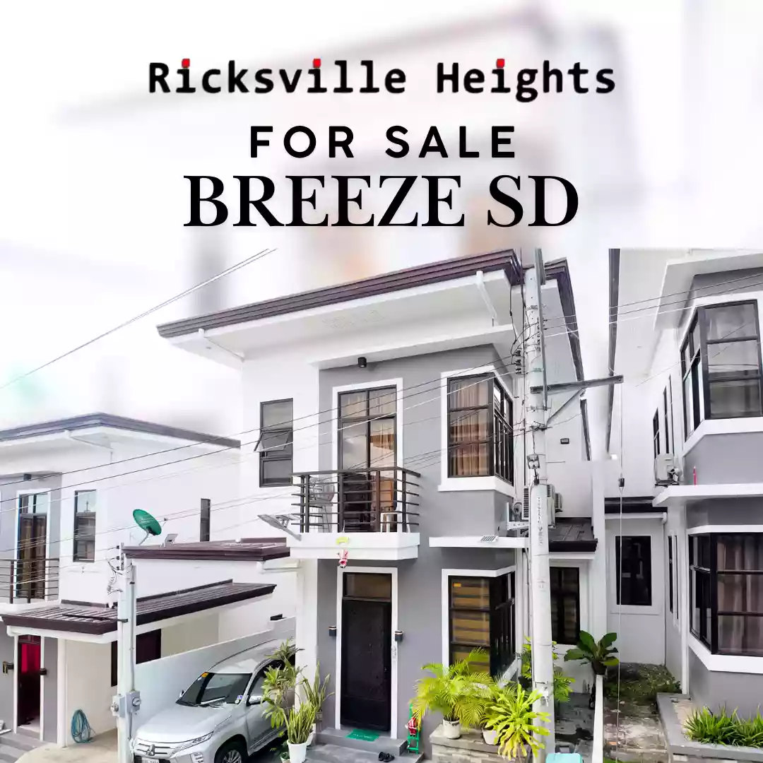 Fully Furnished Single detached in Minglanilla for sale