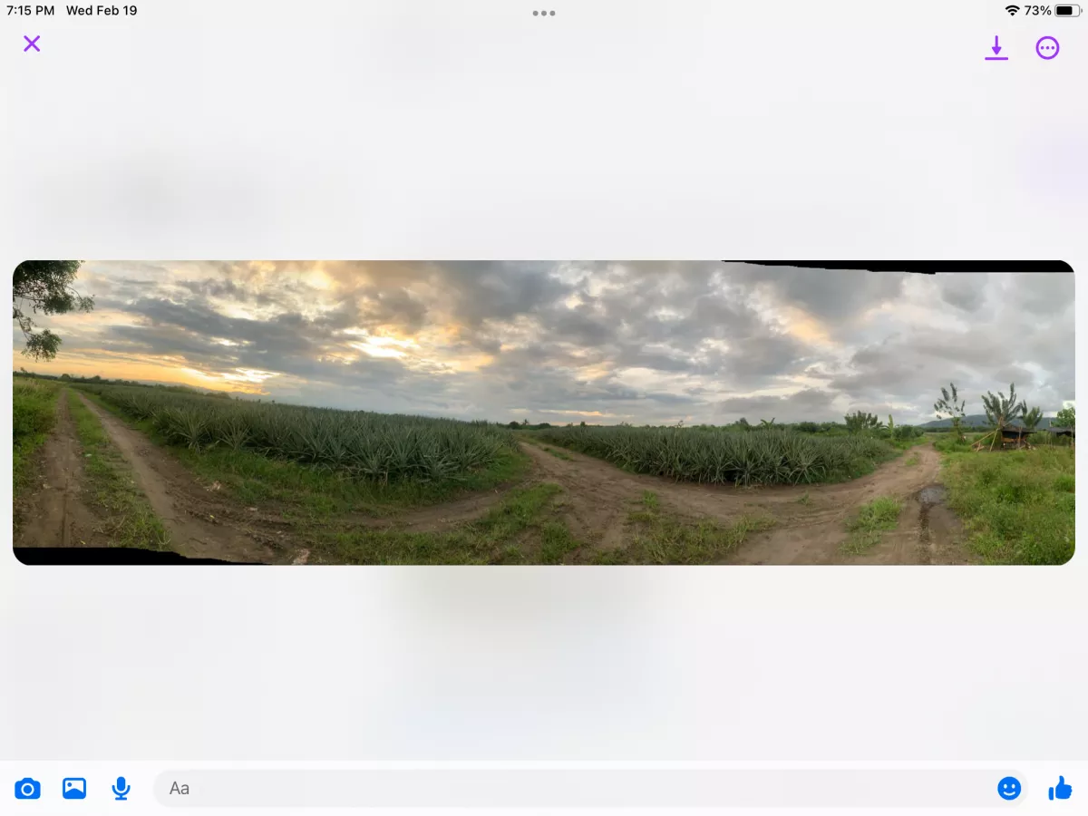 Polomolok, South Cotabato — Agricultural Lot in South Cotabato, Philippines — Photo 3