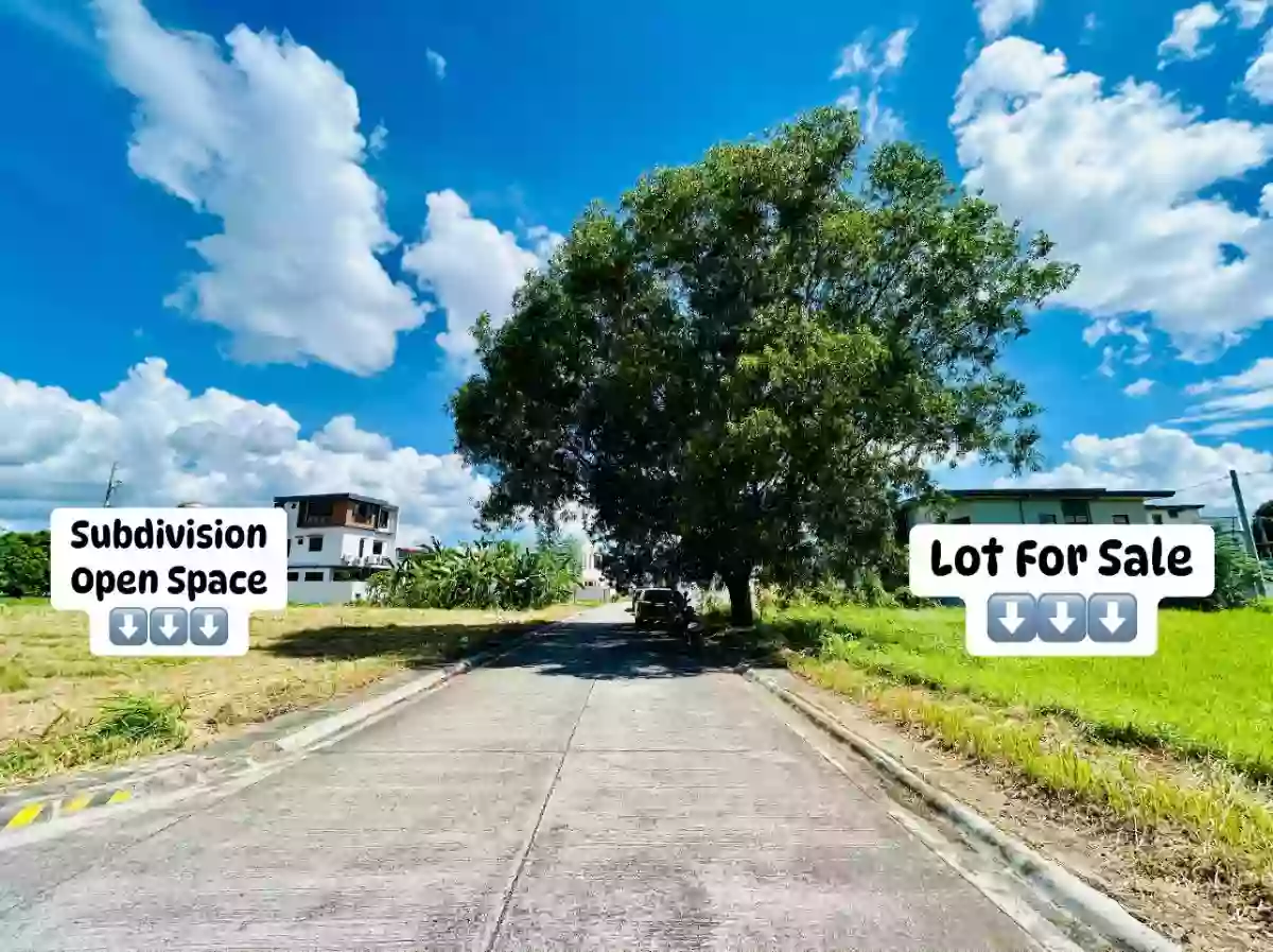 For Sale: 150 sqm Lot in Sta Rosa, Laguna — Residential Lot in Barangay Dita Road, Santa Rosa, Laguna — Photo 4