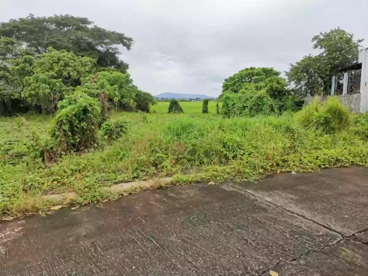 RESIDENTIAL LOT