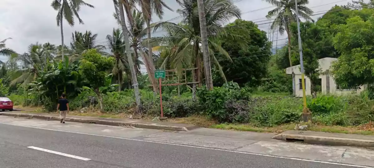 LOT 3-B — Agricultural Lot in Governor Jose T. Fuentebella National Highway, Tigaon, Camarines Sur — Photo 5