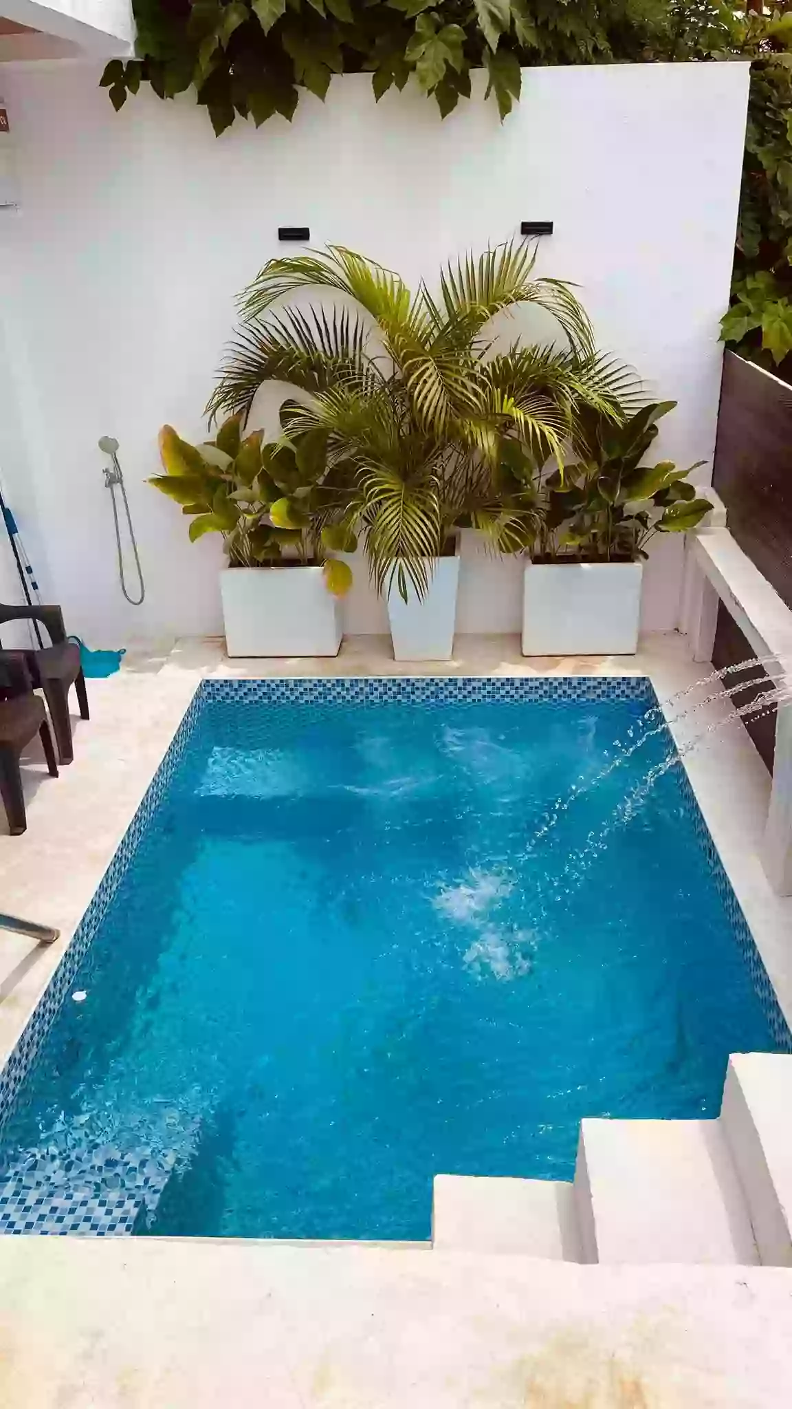 Most Affordablr House with Pool Lapu2x — House and Lot in Lapu-lapu City, Cebu, Philippines — Photo 3