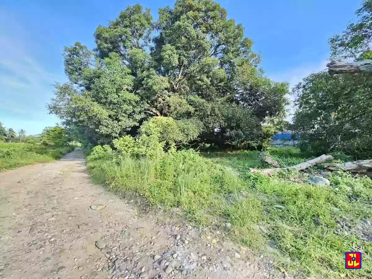 Rush Sale 2,788sqm Lot Along Diversion Road, Isugan, Bacong [available] — Commercial Lot in Bacong, Negros Oriental, Philippines — Photo 4