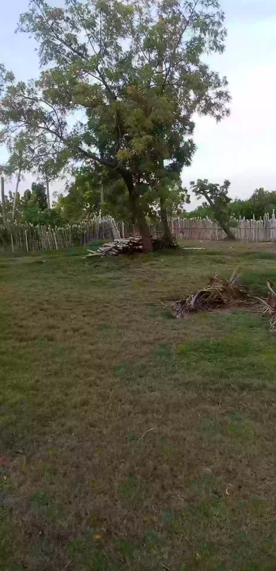 TCT0911112000 — Beach Lot in Philippines — Photo 2