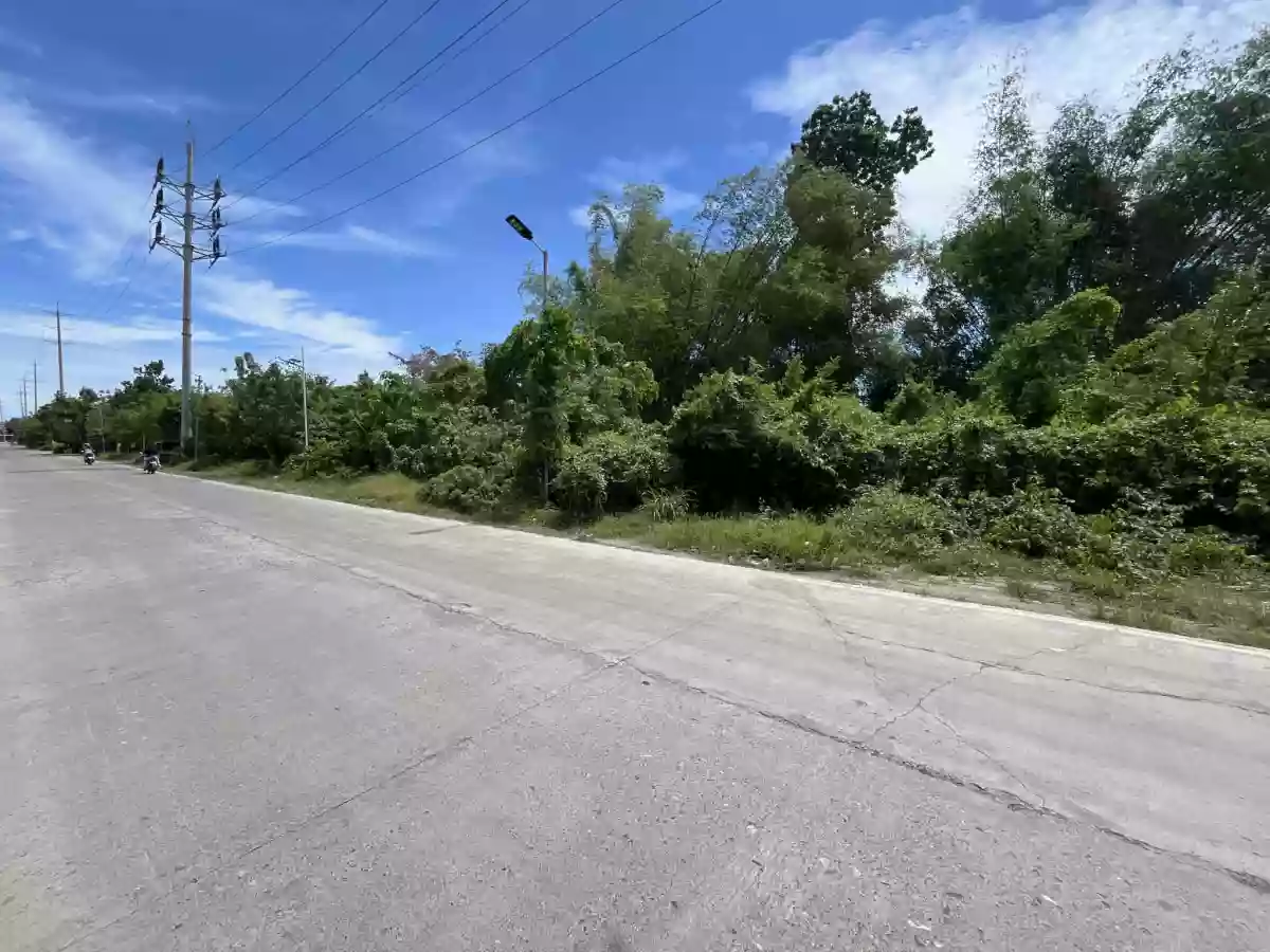 Industrial Lot for Sale in Canamucan Compostela [Tax Dec] — Industrial Lot in Compostela, Cebu, Philippines — Photo 4