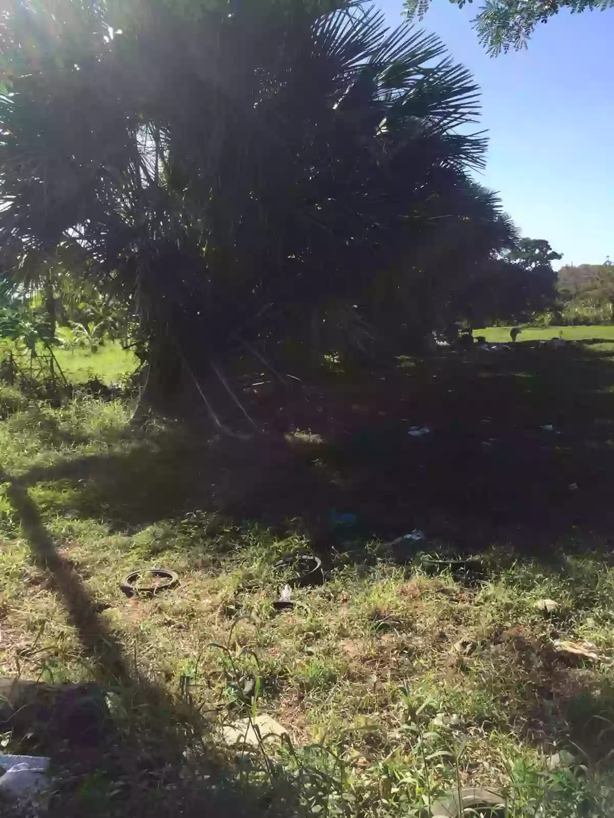 LOT FOR SALE — Residential Lot in Philippines — Photo 2