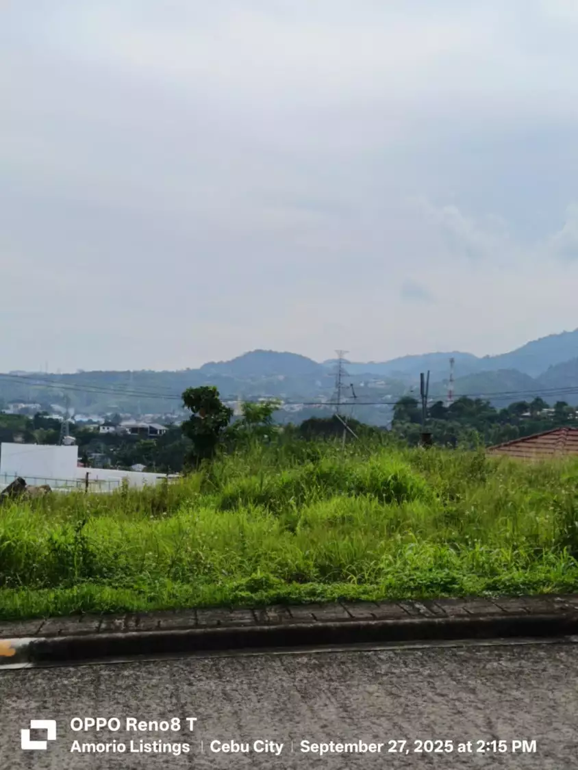 334 sqm Residential lot for sale in Vera Estate Mandaue Cebu — Residential Lot in NS Road, Cebu City, Cebu — Photo 3
